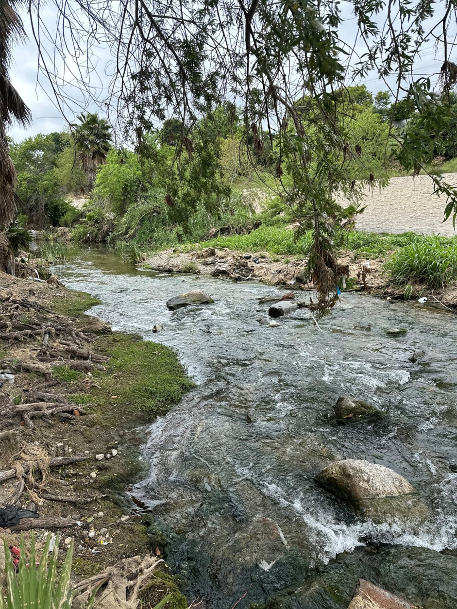 river view with tree branches in the foreground